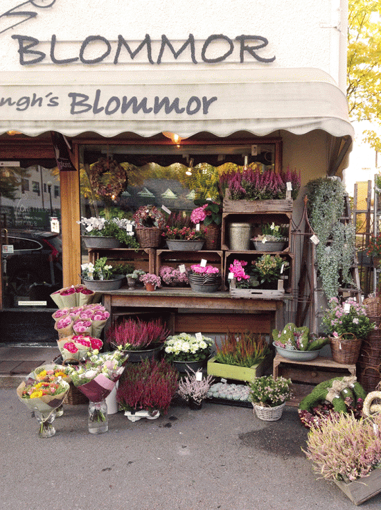goteborg-ljunghs-blommor