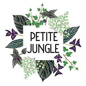 Petite Jungle